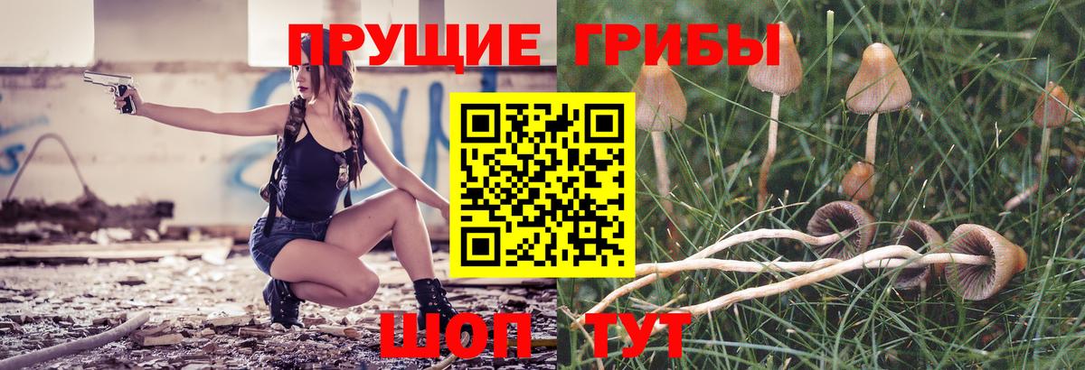 Галлюциногенные грибы Cubensis  сколько стоит  Полевской  Вход с VPN 
