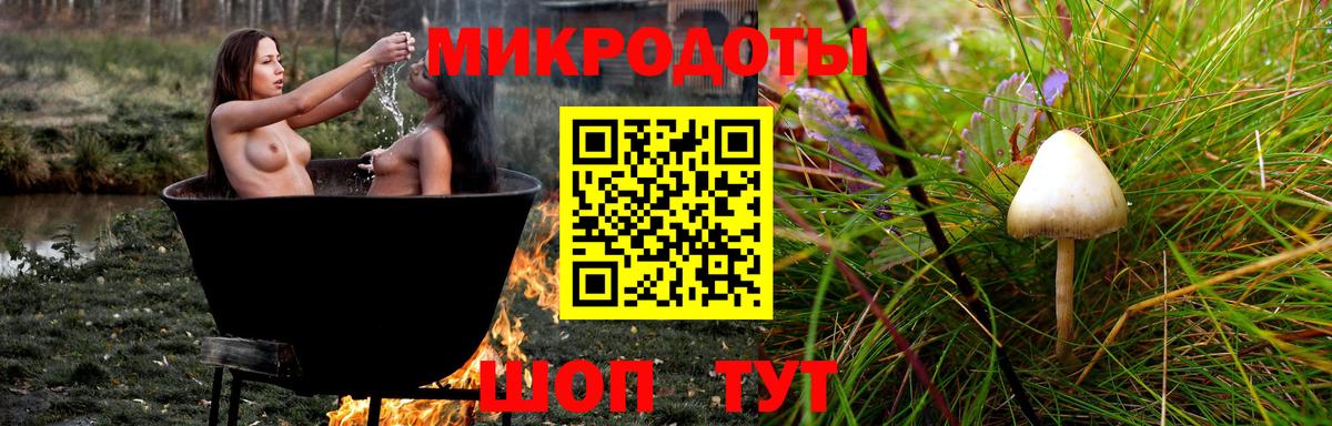 Псилоцибиновые грибы Psilocybine cubensis Полевской